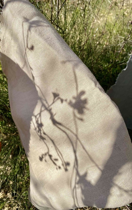 SEDERSTAM-Eva-Nona-18