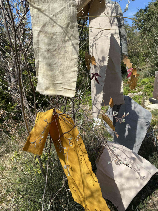 SEDERSTAM-Eva-Nona-19