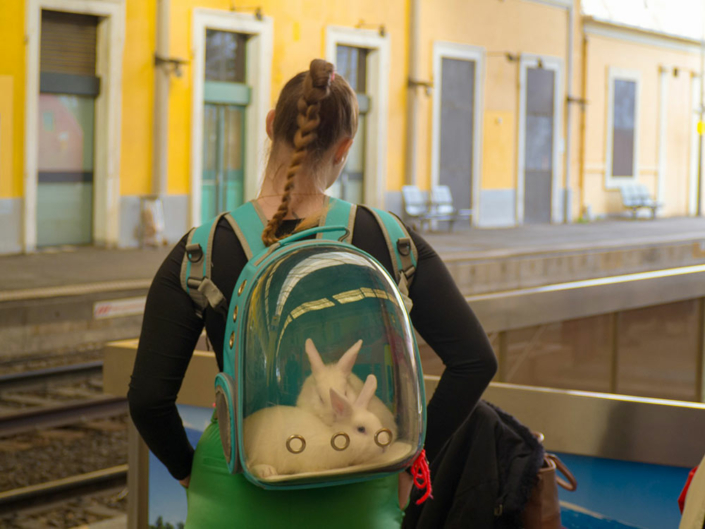 GIOVANNANGELI-Jean-Pierre-04