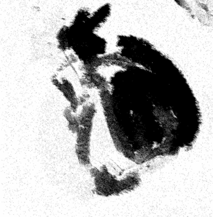 STAGE-Atelier-Beaux-arts-du-sentier-des-peintres-Jan26-05